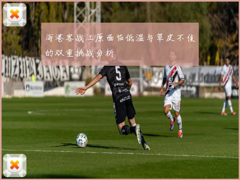 海港客战江原面临低温与草皮不佳的双重挑战分析