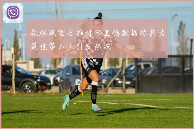 森林狼官方推特晒里德数据称其为最佳第六人引发热议