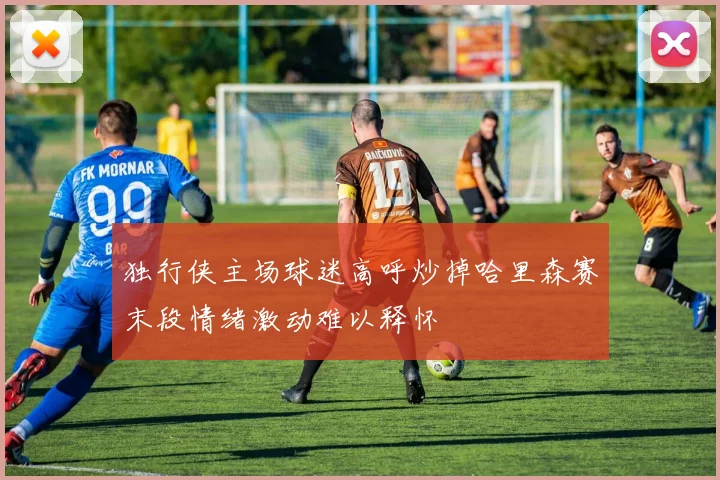 独行侠主场球迷高呼炒掉哈里森赛末段情绪激动难以释怀