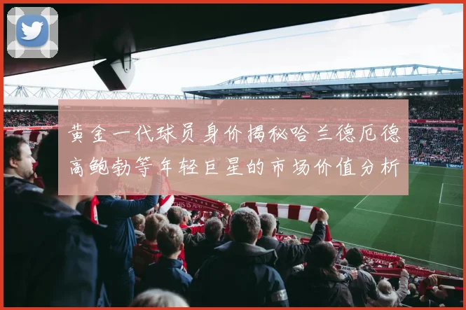 黄金一代球员身价揭秘哈兰德厄德高鲍勃等年轻巨星的市场价值分析